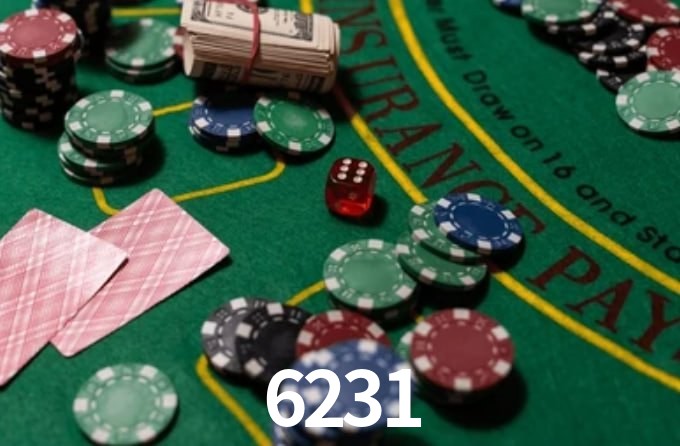 6231.com