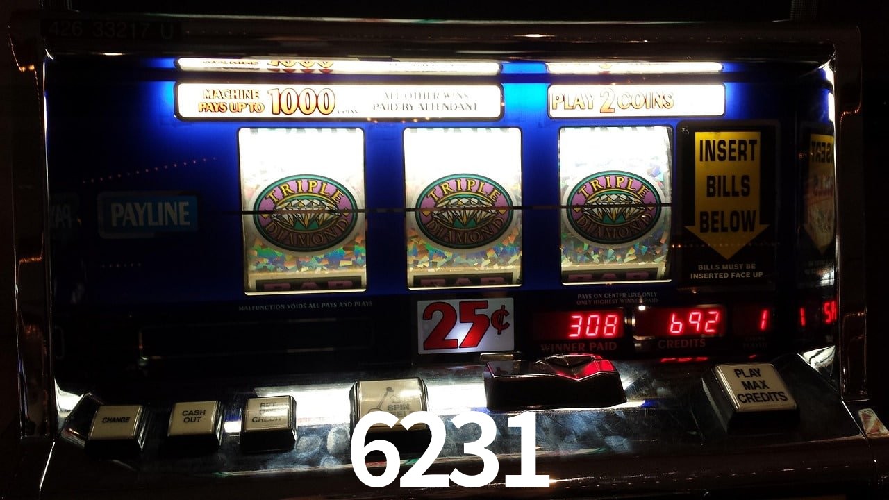 VIP Casino 6231